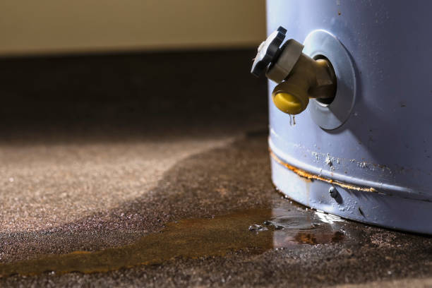 Best Flooded house restoration  in Marlboro Village, MD