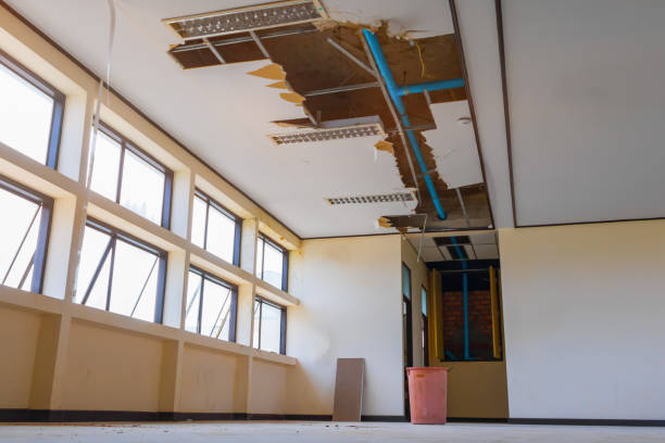 Best Flood damage cleanup  in Marlboro Village, MD