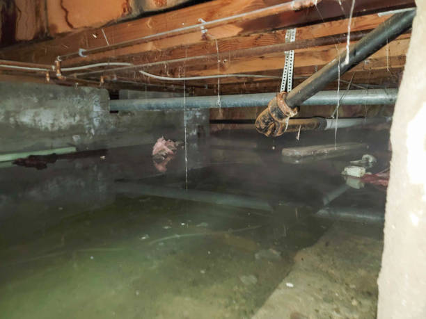 Best Commercial water damage restoration  in Marlboro Village, MD