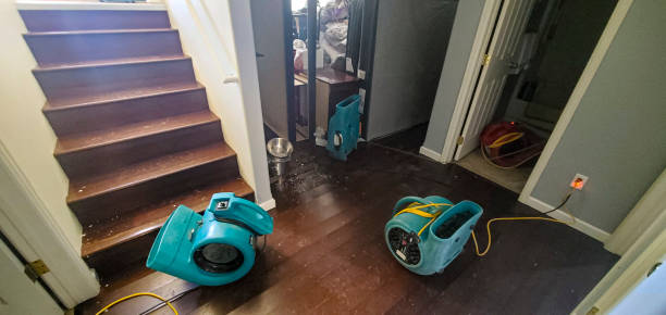 Best Water damage contractors near me  in Marlboro Village, MD
