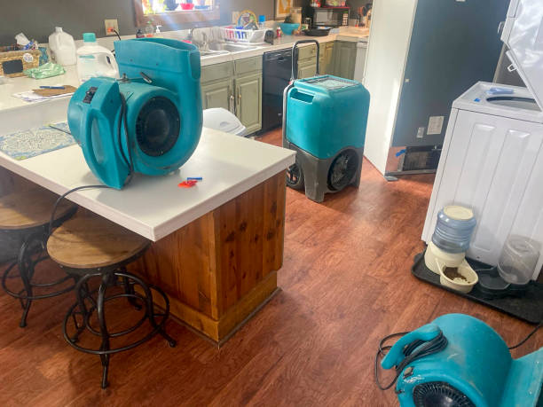 Best 24/7 water damage repair  in Marlboro Village, MD