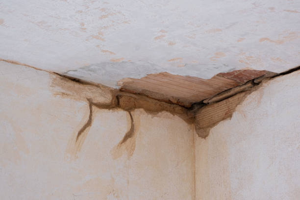 Best Commercial water damage restoration  in Marlboro Village, MD