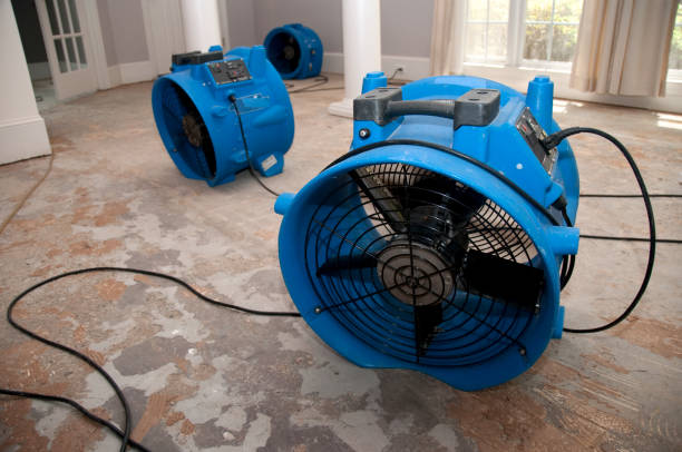 Best Mold removal after water damage  in Marlboro Village, MD