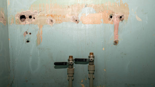 Best Ceiling water damage repair  in Marlboro Village, MD