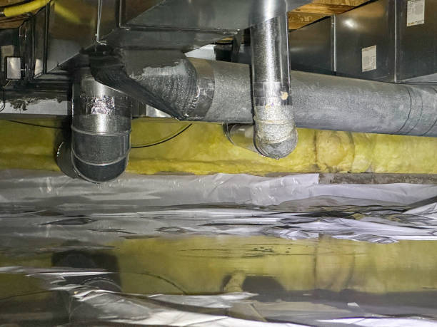 Best Water damage restoration near me  in Marlboro Village, MD