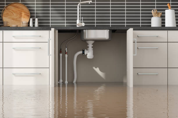 Best Basement water damage restoration  in Marlboro Village, MD