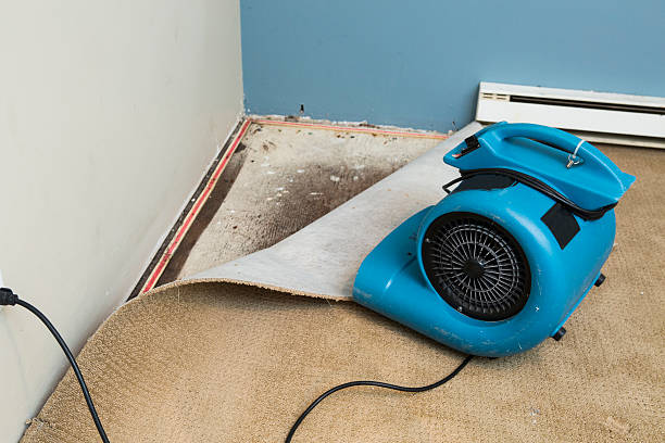 Best Water damage cleanup near me  in Marlboro Village, MD